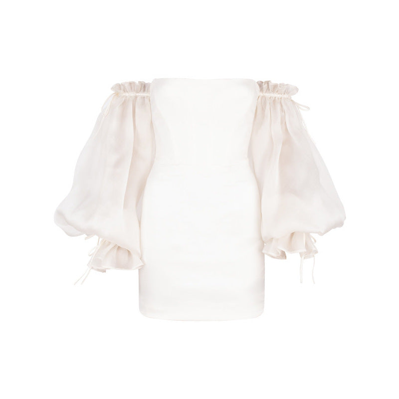 Women Clothing Sexy Off-the-shoulder All-matching Lantern Sleeve Tube Top Dress Autumn Winter