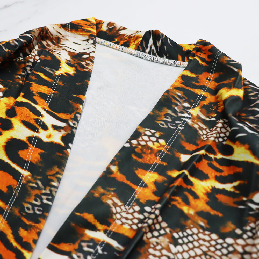 Pleated Irregular Asymmetric Long Sleeve Deep V Plunge Leopard Print Spring Autumn Women Dress