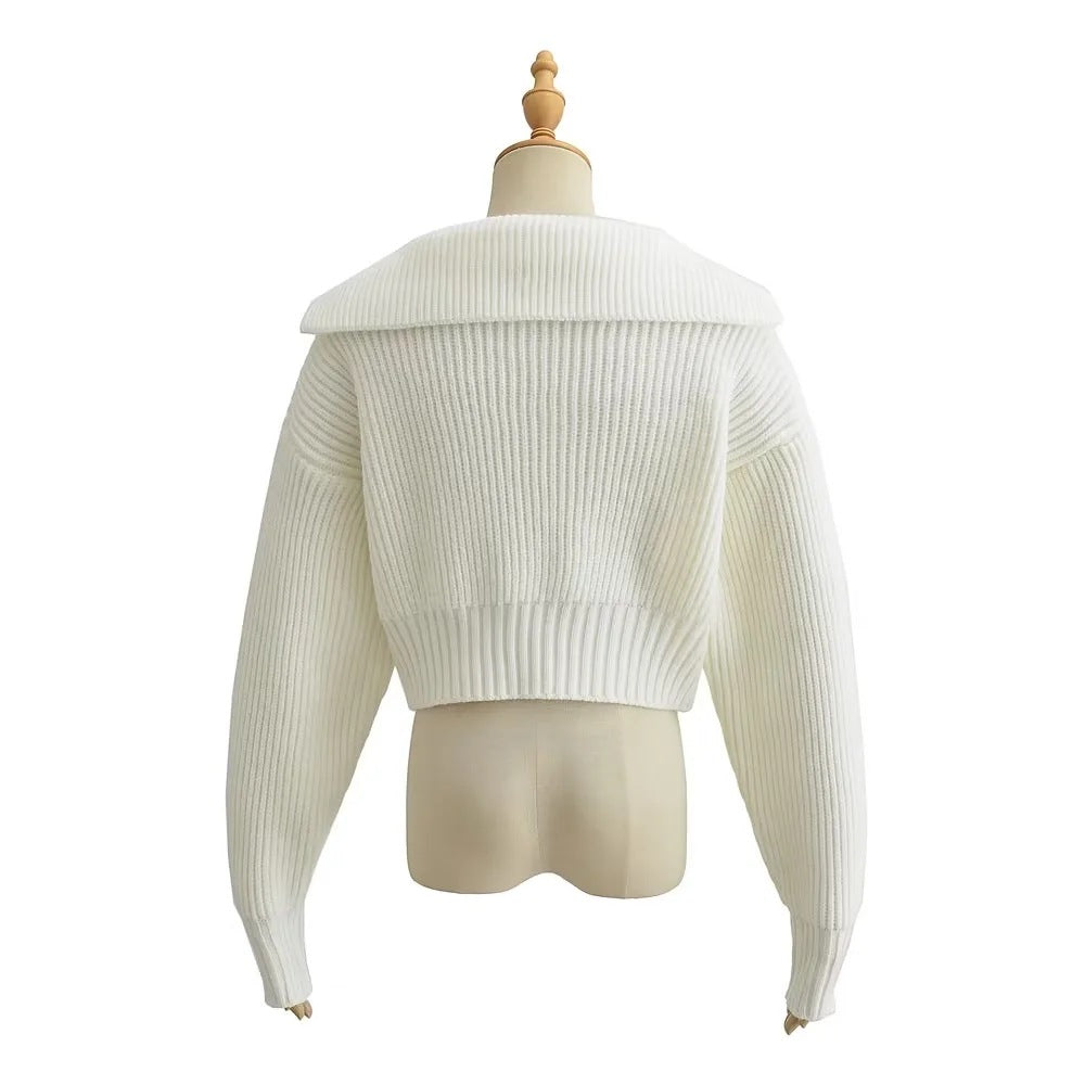 Spring Autumn Four-Color Loose Large Collared All Matching Sweater Women Loose Cropped Sweater Internet Celebrity Sweater Top