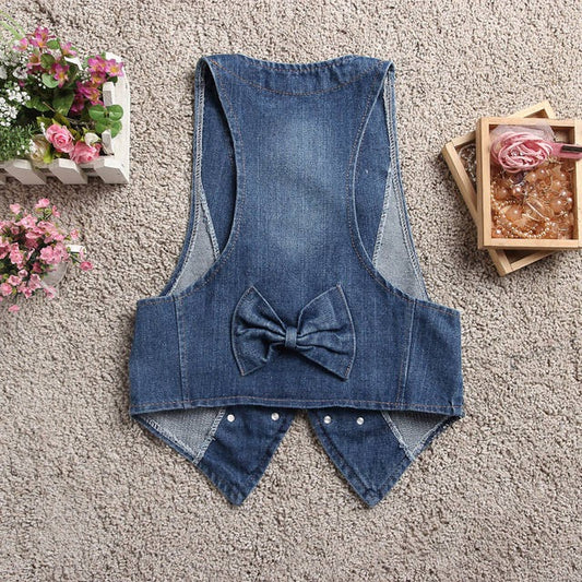 Korean All Matching Sleeveless Denim Waistcoat Vest Waistcoat Women Spring Autumn Short Outer Wear Cardigan Vest Cardigan